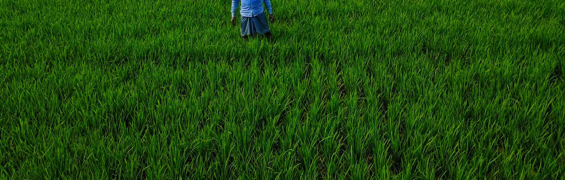 India non-life premium growth