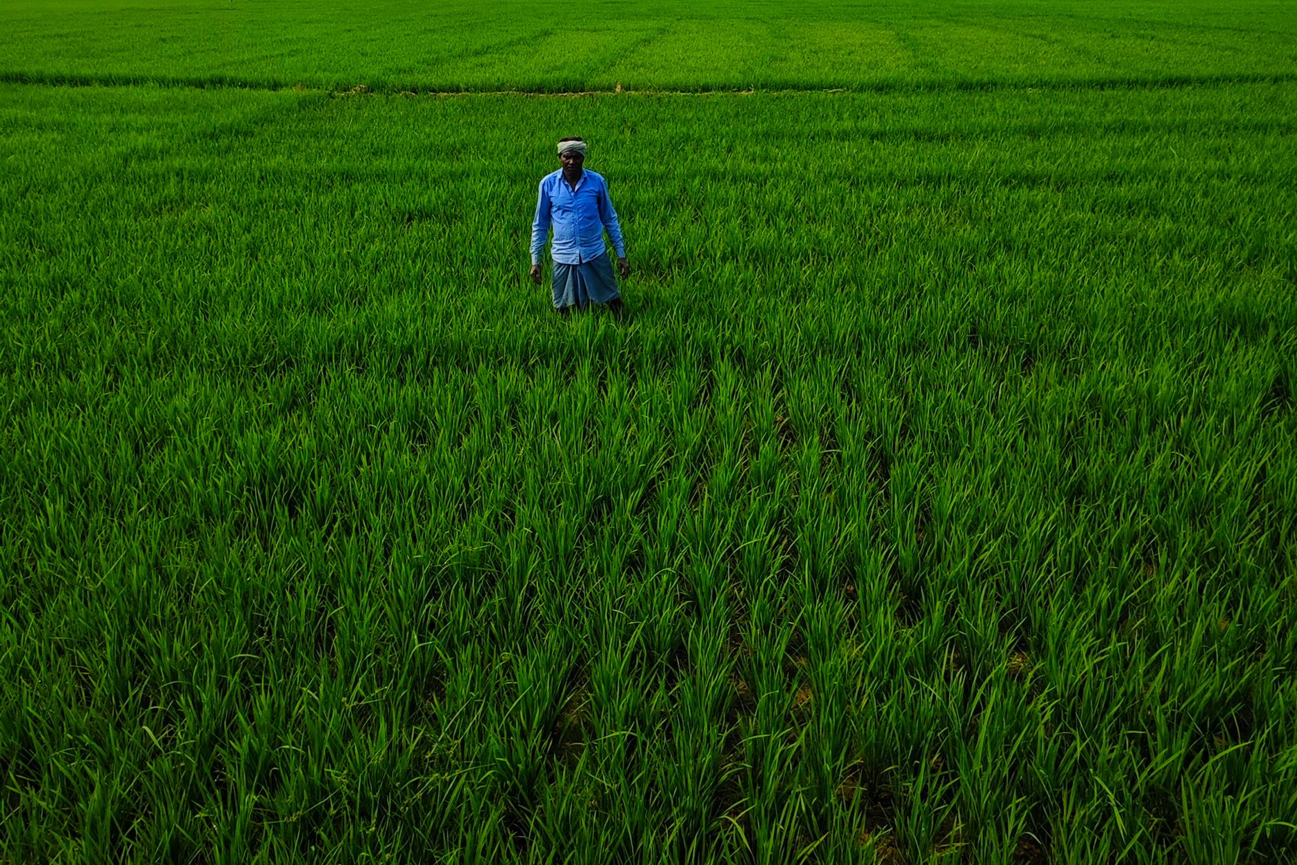 India non-life premium growth