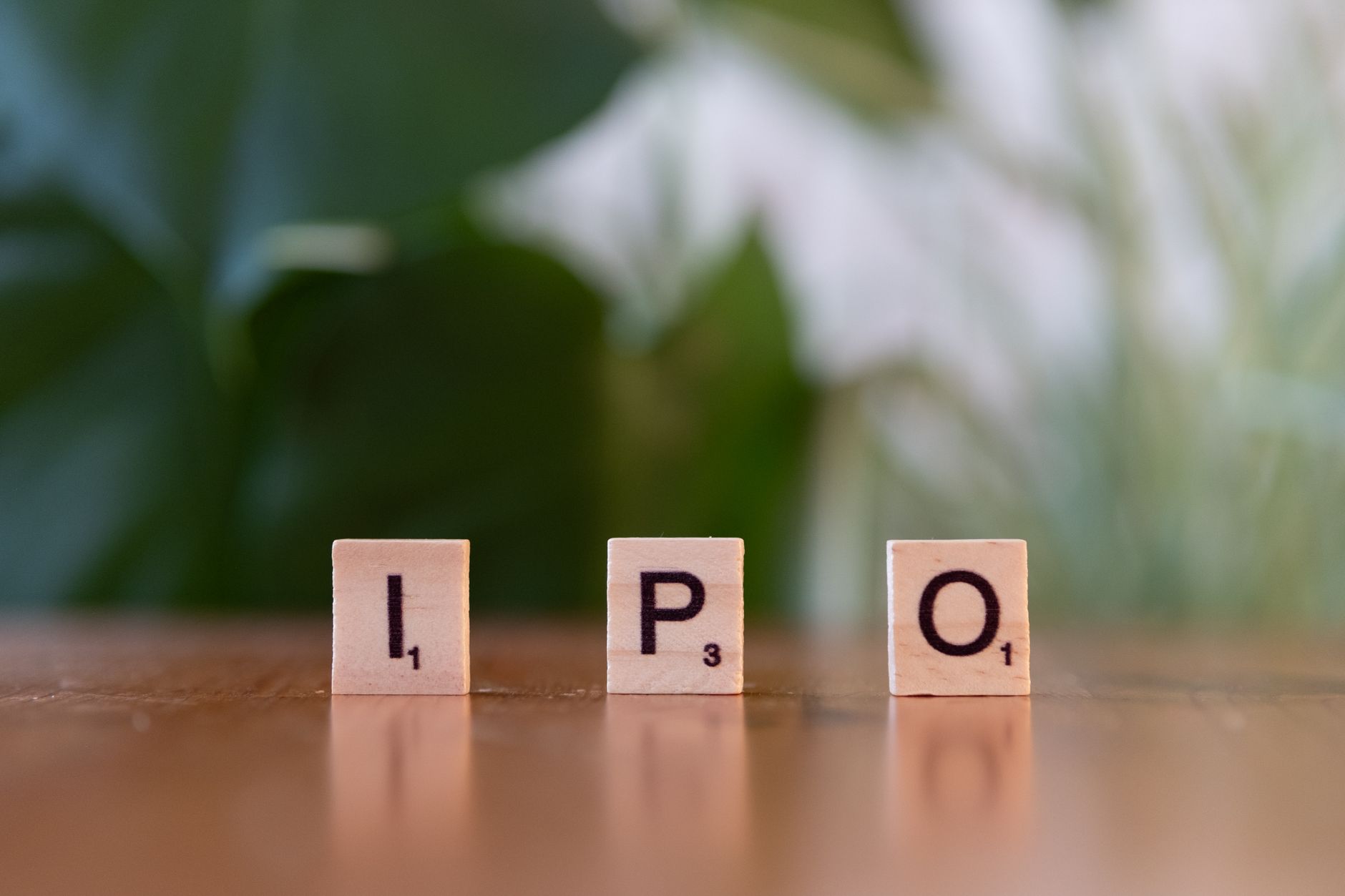 NSE IPO performance
