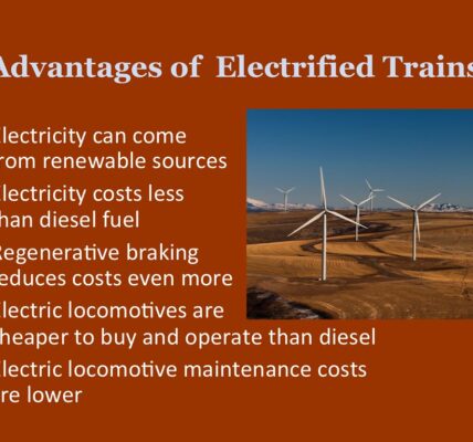 cost-benefit analysis flaws