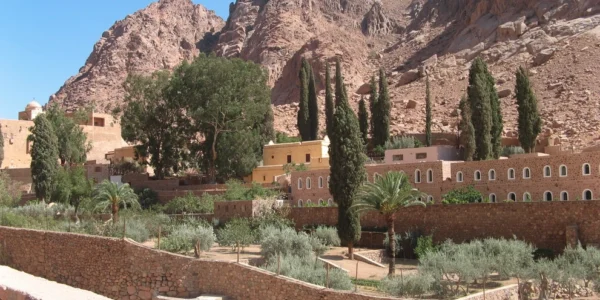 a landscape view of a mountainous area with greenery and buildings